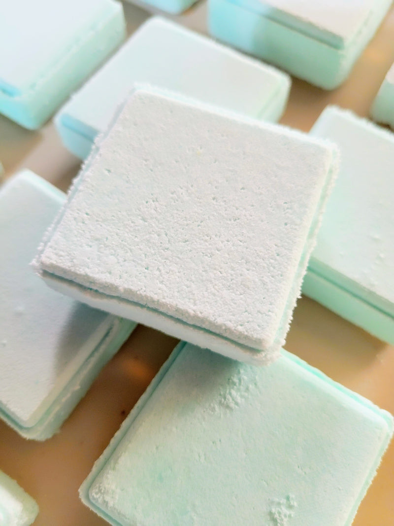 Shower Steamers; Eucalyptus-Shower Steamer 4pk-(12oz)